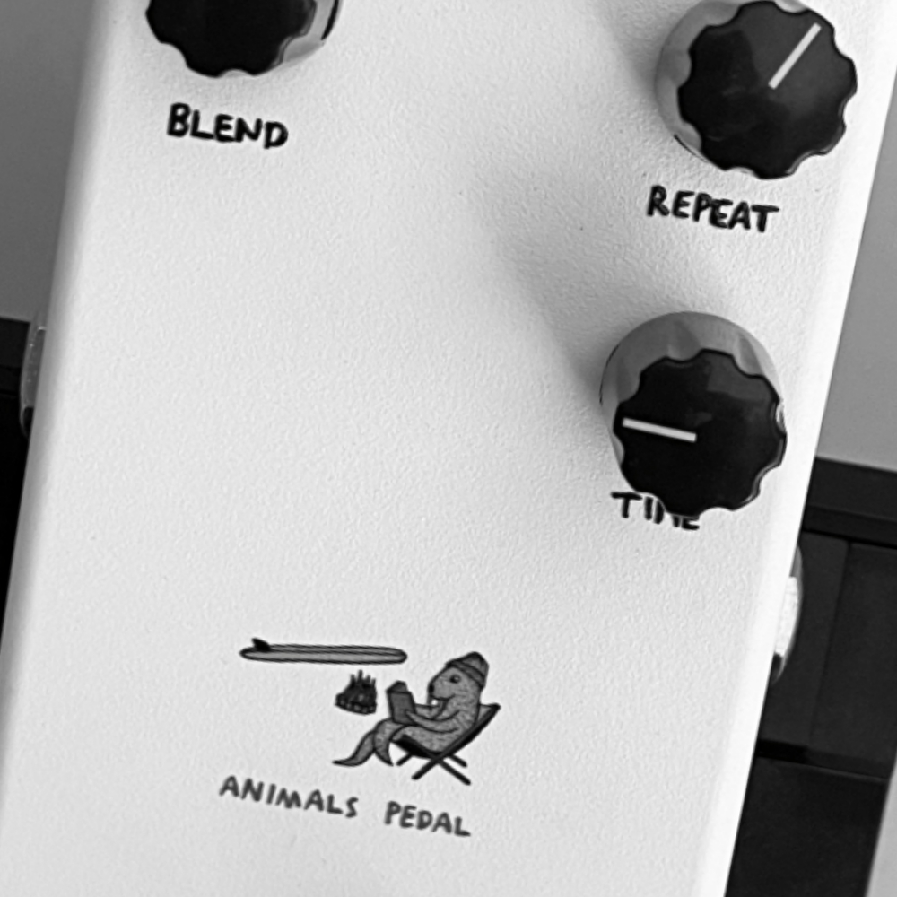 Animals Pedal Relaxing Walrus Delay