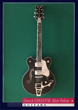 Gretsch G6636TSL Silver Falcon