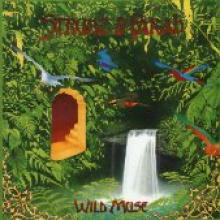 Strunz/Farah "Wild Muse"